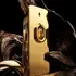 1 MILLION GOLD ELIXIR X50 ML