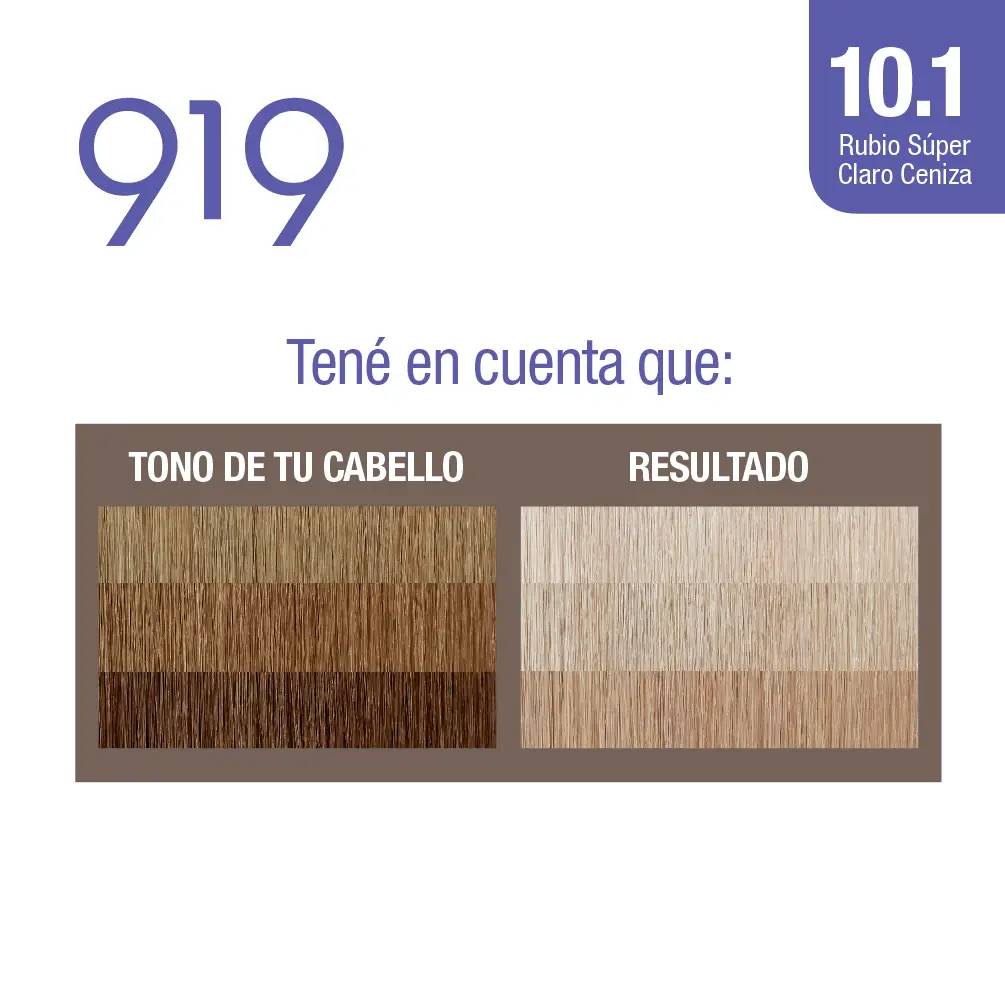 919 KIT TINTURA 10.1 RUBIO SUPER CLARO CENIZA