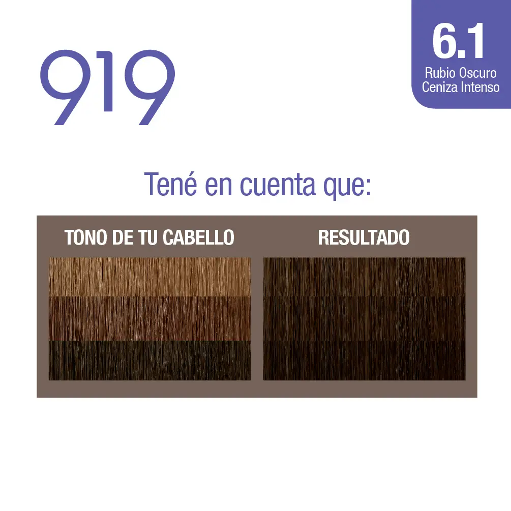 919 TINTURA 6.1 RUBIO OSCURO CENIZA INTENSO