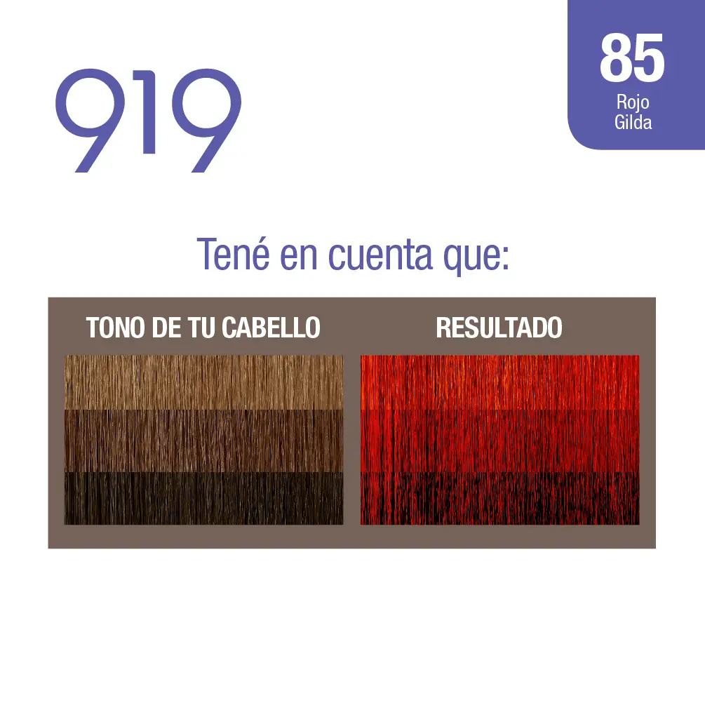 919 TINTURA ROJO 85