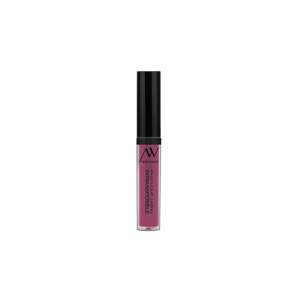 A.W.LABIAL INTRANSFERIBLE N3 