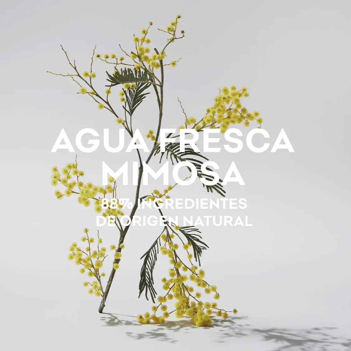 ADOLFO DOMINGUEZ AGUA FRESCA MIMOSA X120ML.