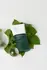 ANUA SKINCARE COREANO HEARTLEAF PROTECTOR SOLAR F50 X50