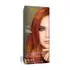 BIFERDIL BIOCOLOR 0% AMONIACO 744 