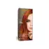 BIFERDIL BIOCOLOR 0% AMONIACO 744 