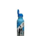 BOTELLA X500 MUNDIAL TODAS ( EL PRECIO ES X UNIDAD)