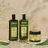CAPILATIS TRATAMIENTO ALOE PURO X300G 
