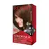 COLORSILK TINTURA KIT 47 
