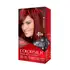 COLORSILK TINTURA KIT 49 