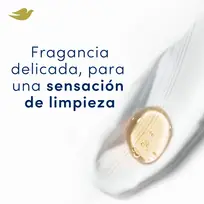 DOVE ROLLON X50 ORIGINAL 