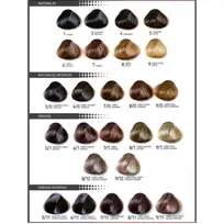 FIDELITE TINTURA EN CREMA 1 NEGRO
