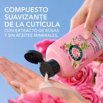 HERBAL ESSENCES ENJUAGUE X240 ROSA MOSQUETA