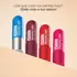 ISDIN REPARADOR LABIAL STICK ROJO 