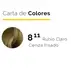 ISSUE SACHET TINTURA 8.11 RUBIO CLARO CENIZA IRISADO