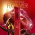 KENZO LE ROUGE FLOWER EDP X50 