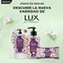 LUX JABON LIQUIDO GLICERINA X300 DAMA DE NOCHE
