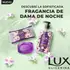 LUX JABON LIQUIDO GLICERINA X300 DAMA DE NOCHE