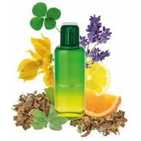 MANDARINA DUCK THE MANDARINERS X100 ML FOR HIM