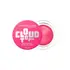 MAYBELLINE BLUSH PINK DAYDREAM 04 