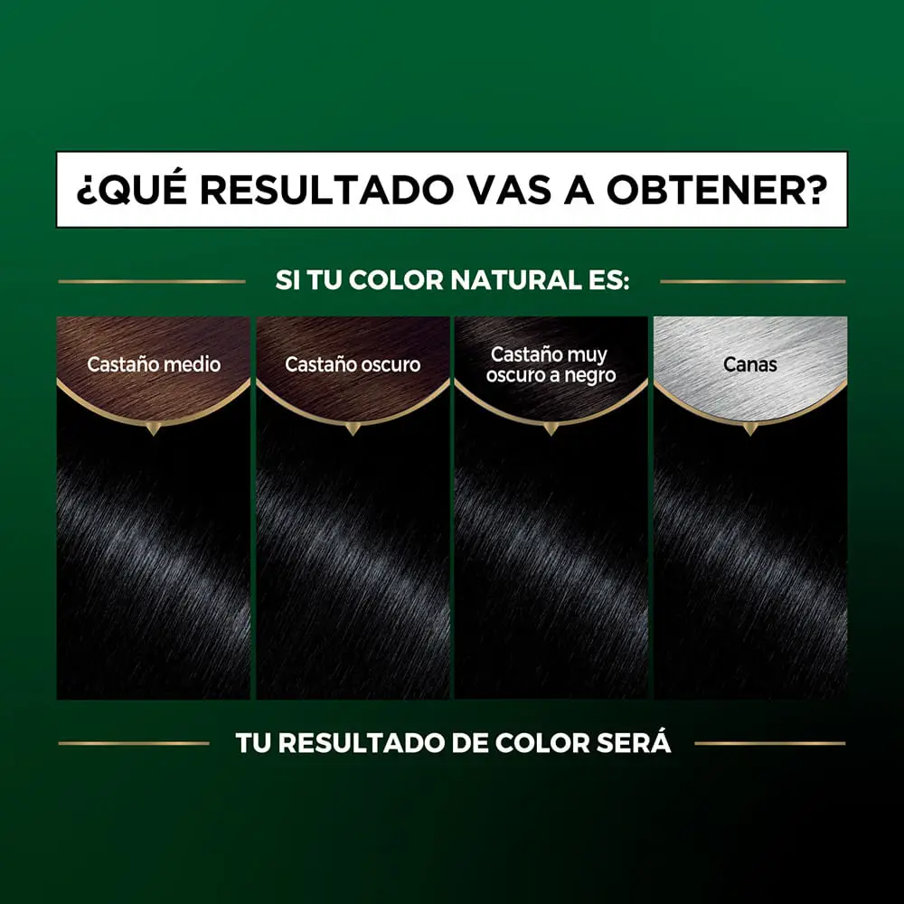 NUTRISSE KIT SIN AMONIACO 1.0 