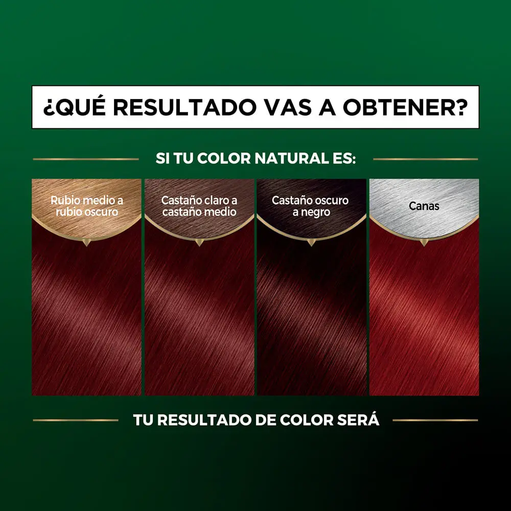 NUTRISSE KIT SIN AMONIACO 6.66