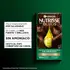 NUTRISSE KIT SIN AMONIACO 6.7 