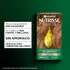 NUTRISSE KIT SIN AMONIACO 7.0 