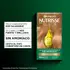 NUTRISSE KIT SIN AMONIACO 8.0 