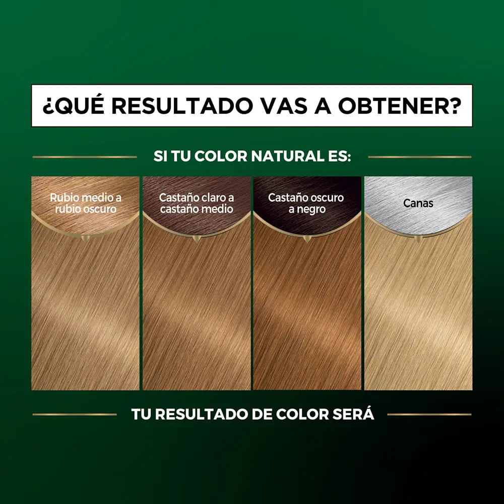 NUTRISSE KIT SIN AMONIACO 8.0 