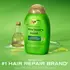 OGX SHAMPOO ROSEMARY MINT X385ML 