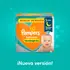 PAMPERS BABYSAN HIPOALRGENICO X40 G 
