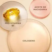 PANTENE SHAMPOO COLAGENO X510ML 