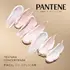 PANTENE SHAMPOO COLAGENO X510ML 
