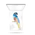 PUPA PARROT KIT RIO 
