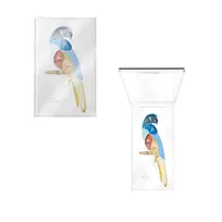 PUPA PARROT KIT RIO 