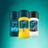 REXONA DEO EN BARRA X50 V8