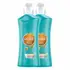 SEDAL BOMBA DE ARGAN LOLLAPALOOZA KIT GRANDE