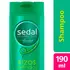 SEDAL SHAMPOO X190 RIZOS DEFINIDOS