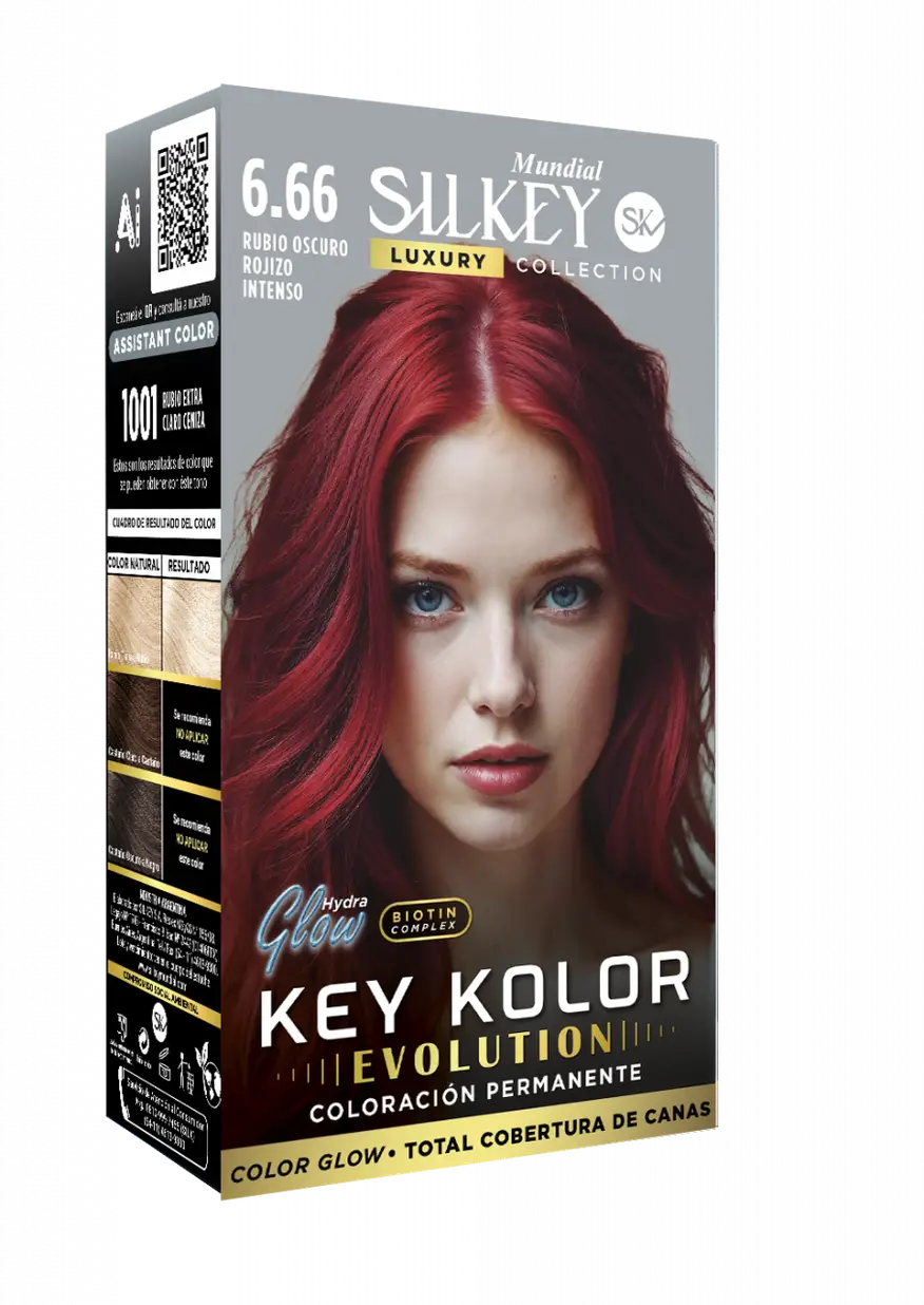 SILKEY KIT EVOLUTION 666 