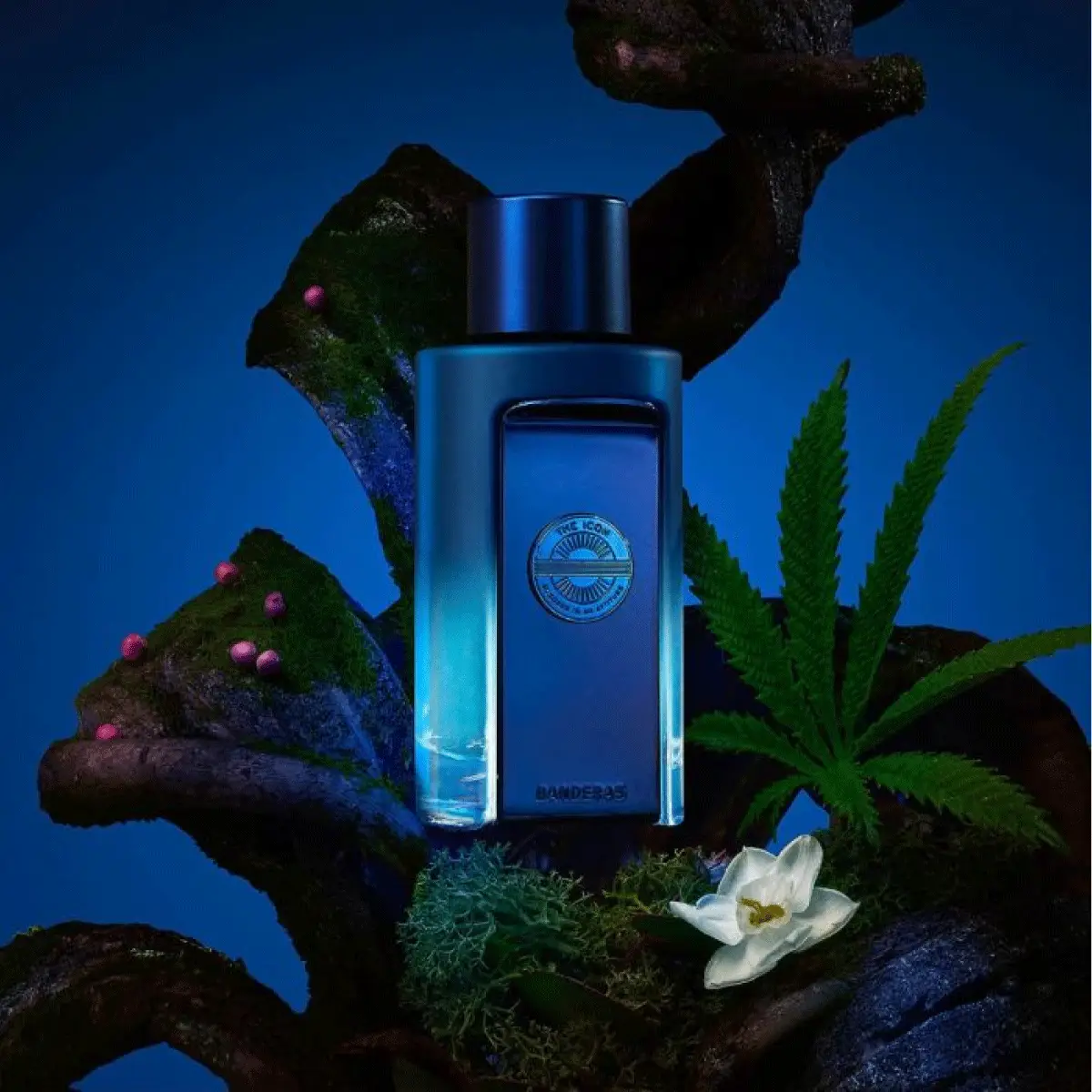 THE ICON MAN SUPREME EDP X100ML 