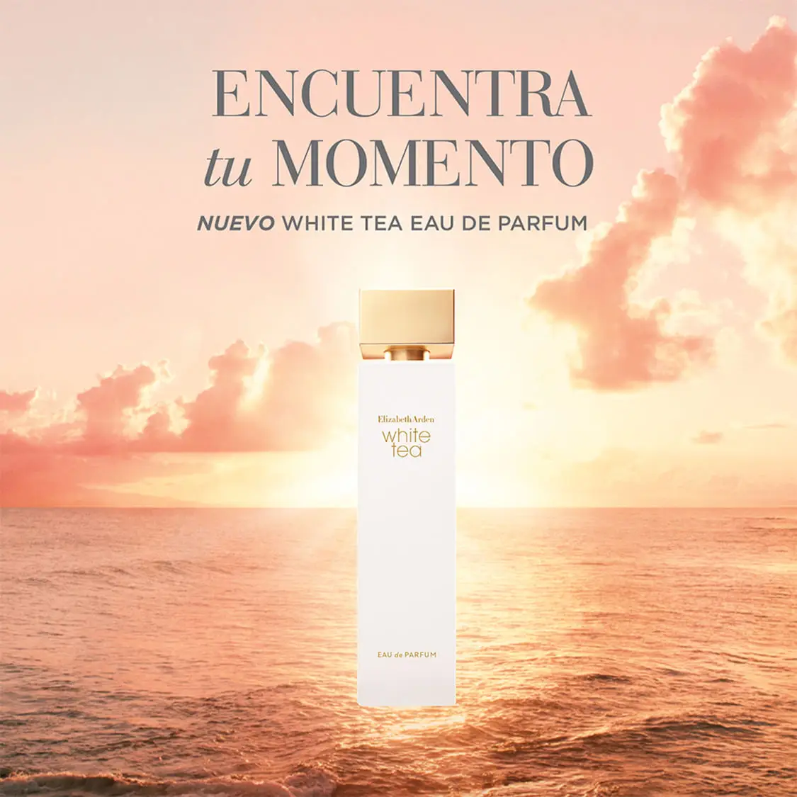 WHITE TEA EDP X100ML 